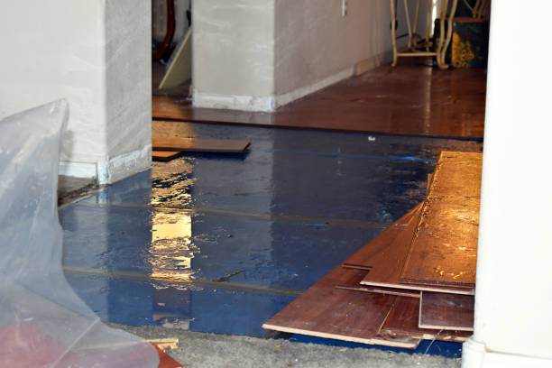 Professional Sewage Cleanup technician working in Montgomery, IL